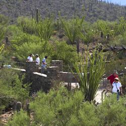 Guests on the Desert Loop Trail
